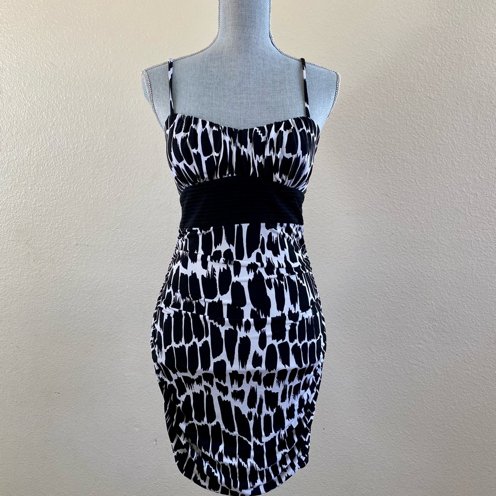 City Triangles Sleeveless Dress